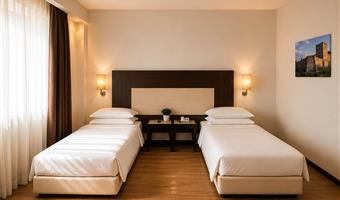 1 lit king size, non fumeur, chambre confort, terrasse, convertible en deux lits simples, douche uniquement
