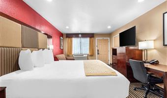 1 letto matrimoniale king size, camere non fumatori, divano letto per uno, collegamento wi-fi, colazione completa