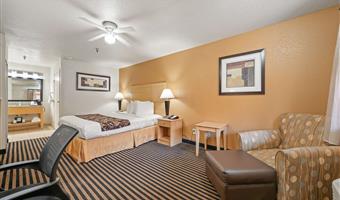 1 letto matrimoniale king size, scrivania business, microonde e frigorifero, accesso a internet ad alta velocità, cassaforte, camere non fumatori, colazione completa