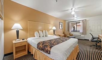 1 letto matrimoniale king size, scrivania business, microonde e frigorifero, accesso a internet ad alta velocità, cassaforte, camere non fumatori, colazione completa