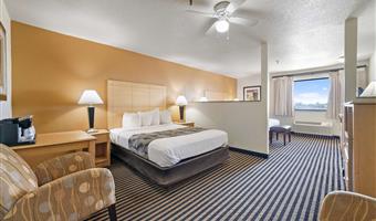 suite -2 letti queen size, due televisori, camera grande, microonde e frigorifero, cassaforte, camere non fumatori, colazione completa