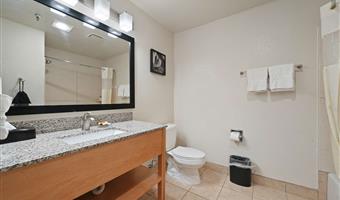 suite -2 letti queen size, due televisori, camera grande, microonde e frigorifero, cassaforte, camere non fumatori, colazione completa