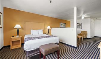 suite -1 letto queen size, due televisori, camera grande, microonde e frigorifero, divano letto, camere non fumatori, colazione completa