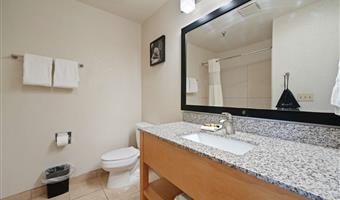 1 letto matrimoniale king size, camere non fumatori, minibar con lavandino, microonde e frigorifero, ampio bagno, scrivania business, accesso wireless a internet ad alta velocità, colazione completa