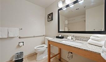 2 letti matrimoniali queen size, strutture per ospiti disabili, bathtub, due televisori, microonde e frigorifero, scrivania business, camere non fumatori, colazione completa