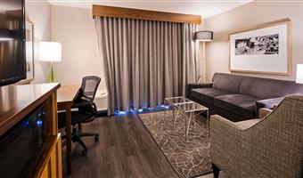 suite -1 letto king size, camere non fumatori, accesso a internet ad alta velocità, idromassaggio, divano letto, microonde e frigorifero, colazione continentale