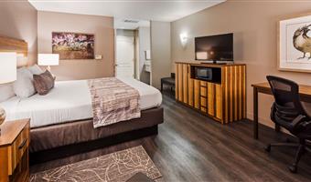 suite -1 letto king size, camere non fumatori, accesso a internet ad alta velocità, idromassaggio, divano letto, microonde e frigorifero, colazione continentale