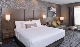 accessibile - 1 letto king size, strutture per ospiti disabili, assistenza per le comunicazioni, doccia per disabili, divano letto, camere non fumatori, colazione completa