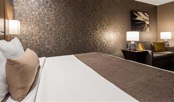 1 letto matrimoniale king size, camere non fumatori, accesso a internet ad alta velocità, microonde e frigorifero, minibar con lavandino, divano letto, colazione completa