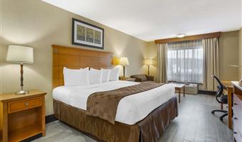 1 letto matrimoniale king size, camere non fumatori, microonde e frigorifero, collegamento wi-fi, colazione completa