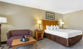 1 letto matrimoniale queen size, camere non fumatori, microonde e frigorifero, collegamento wi-fi, colazione completa