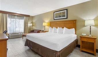 1 letto matrimoniale queen size, camere non fumatori, microonde e frigorifero, collegamento wi-fi, colazione completa