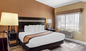 accessibile - 1 letto king size, strutture per ospiti disabili, bathtub, microonde e frigorifero, collegamento wi-fi, camere non fumatori