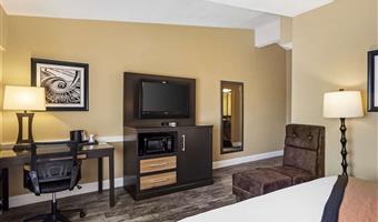 accessibile - 1 letto king size, strutture per ospiti disabili, bathtub, microonde e frigorifero, collegamento wi-fi, camere non fumatori