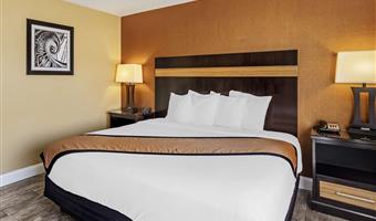 1 letto matrimoniale queen size, camere non fumatori, microonde e frigorifero, collegamento wi-fi