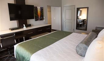 accessibile - suite con 1 letto king size, strutture per ospiti disabili, doccia per disabili, divano letto, soggiorno separato, microonde e frigorifero, camere non fumatori