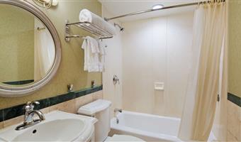 1 letto matrimoniale queen size, camere non fumatori, accesso a internet ad alta velocità, bollitore per caffè, asciugacapelli, ferro e asse da stiro, colazione continentale