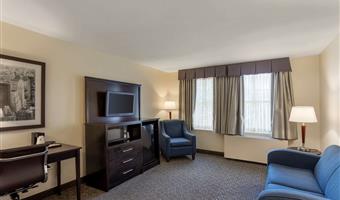 suite -1 letto king size, camere non fumatori, divano letto, scrivania, microonde e frigorifero, collegamento wi-fi, colazione continentale
