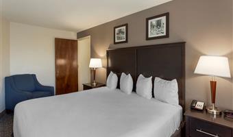 suite -1 letto king size, camere non fumatori, divano letto, scrivania, microonde e frigorifero, collegamento wi-fi, colazione continentale