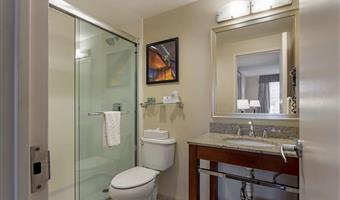 suite -1 letto king size, camere non fumatori, divano letto, scrivania, microonde e frigorifero, collegamento wi-fi, colazione continentale