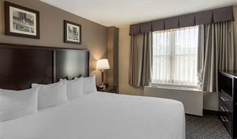 suite -1 letto king size, camere non fumatori, microonde e frigorifero, scrivania, collegamento wi-fi, colazione continentale