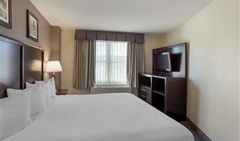 suite -1 letto king size, camere non fumatori, microonde e frigorifero, scrivania, collegamento wi-fi, colazione continentale