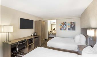 2 letti matrimoniali queen size, camere non fumatori, scrivania, poltrona, microonde e minibar, collegamento wi-fi, colazione continentale