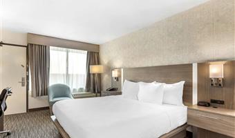 1 letto matrimoniale king size, camere non fumatori, scrivania, poltrona, microonde e minibar, collegamento wi-fi, colazione continentale