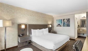 1 letto matrimoniale king size, camere non fumatori, scrivania, poltrona, microonde e minibar, collegamento wi-fi, colazione continentale