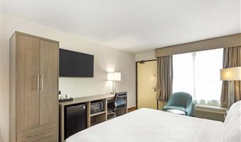 1 letto matrimoniale king size, camere non fumatori, scrivania, poltrona, microonde e minibar, collegamento wi-fi, colazione continentale