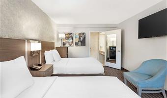 accessibile - 2 letto matrimoniale, strutture per ospiti disabili, assistenza per le comunicazioni, doccia per disabili, camere non fumatori, colazione continentale