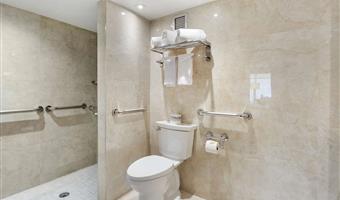 accessibile - 2 letto matrimoniale, strutture per ospiti disabili, assistenza per le comunicazioni, doccia per disabili, camere non fumatori, colazione continentale