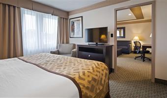 suite -1 letto king size, camere non fumatori, soggiorno separato, divano, microonde e frigorifero, collegamento wi-fi, colazione completa