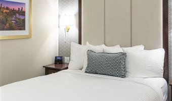 1 letto matrimoniale queen size, camere non fumatori, scrivania, mini frigorifero, materasso plush top a strati multipli, box doccia, bollitore per tè e caffè, colazione completa