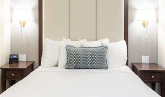 1 letto matrimoniale queen size, camere non fumatori, scrivania, mini frigorifero, materasso plush top a strati multipli, box doccia, bollitore per tè e caffè, colazione completa