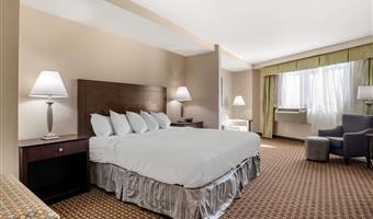 1 letto matrimoniale king size, camere non fumatori, suite business plus, divano letto, grande scrivania, colazione completa