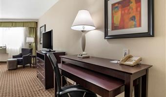 1 letto matrimoniale king size, camere non fumatori, suite business plus, divano letto, grande scrivania, colazione completa