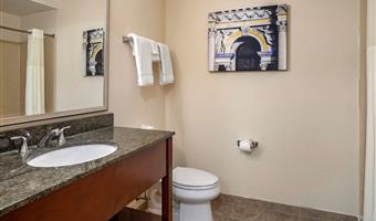 1 letto matrimoniale king size, camere non fumatori, suite business plus, divano letto, grande scrivania, colazione completa