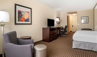 1 letto matrimoniale king size, camere non fumatori, suite business plus, divano letto, grande scrivania, colazione completa