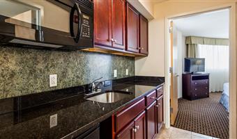 suite -1 letto queen size, camere non fumatori, soggiorno separato, minibar con lavandino, microonde e frigorifero, divano letto, colazione completa