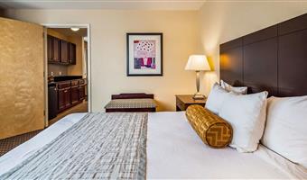 suite -1 letto queen size, camere non fumatori, soggiorno separato, minibar con lavandino, microonde e frigorifero, divano letto, colazione completa