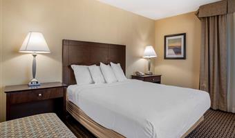 suite -1 letto queen size, camere non fumatori, soggiorno separato, minibar con lavandino, microonde e frigorifero, divano letto, colazione completa