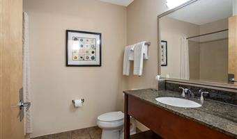 suite -1 letto king size, camere non fumatori, soggiorno separato, minibar con lavandino, microonde e frigorifero, divano letto, colazione completa