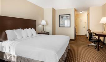 1 letto matrimoniale king size, strutture per ospiti disabili, box doccia, camere non fumatori, colazione completa