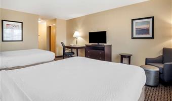 2 letti matrimoniali queen size, camere non fumatori, scrivania, cassaforte, microonde e frigorifero, collegamento wi-fi, colazione completa