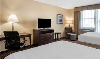 2 letti matrimoniali queen size, camere non fumatori, scrivania, cassaforte, microonde e frigorifero, collegamento wi-fi, colazione completa