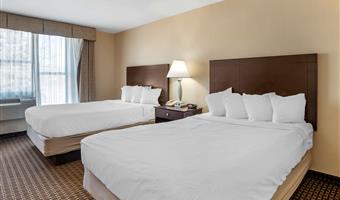 2 letti matrimoniali queen size, camere non fumatori, scrivania, cassaforte, microonde e frigorifero, collegamento wi-fi, colazione completa