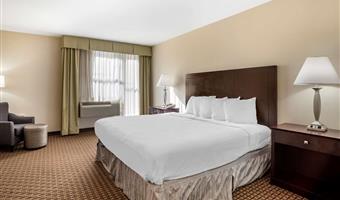 1 letto matrimoniale king size, camere non fumatori, scrivania, cassaforte, microonde e frigorifero, collegamento wi-fi, colazione completa