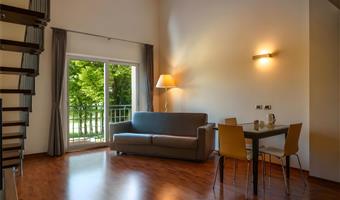 suite -1 letto queen size, camere non fumatori, camera superior, due piani, idromassaggio jacuzzi, salottino, divano