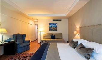 2 letti singoli, camere non fumatori, divano letto, minibar, stira pantaloni, collegamento wi-fi, bollitore per tè e caffè, colazione completa